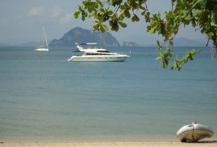 man on the ground phuket